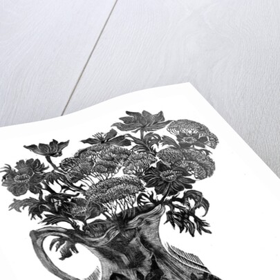 Anemones, 1996 by Mary Kuper