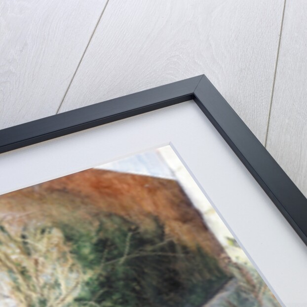 London Garden, 2002 by Mary Kuper