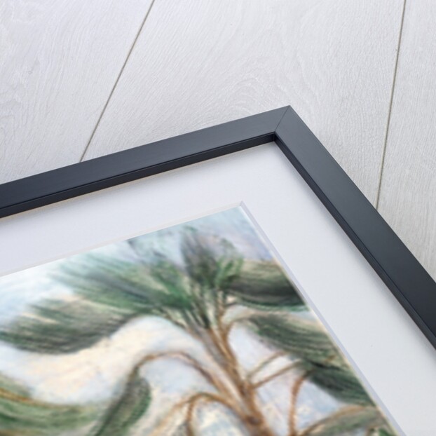 Chiswick House; cedarssphinxes, 2002 by Mary Kuper