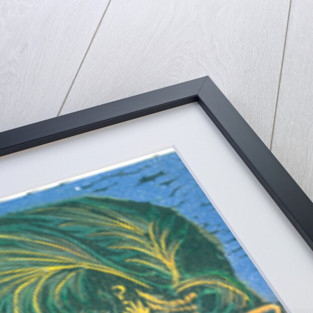 The blind men and the elephant, 1992 by Mary Kuper