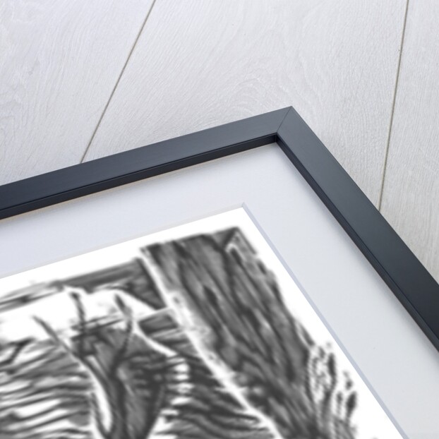 The Flood, 2006 by Mary Kuper