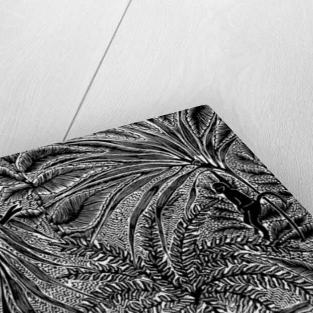 Jungle, 1993 by Mary Kuper