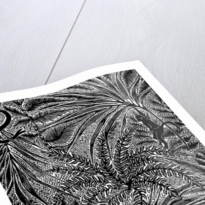 Jungle, 1993 by Mary Kuper