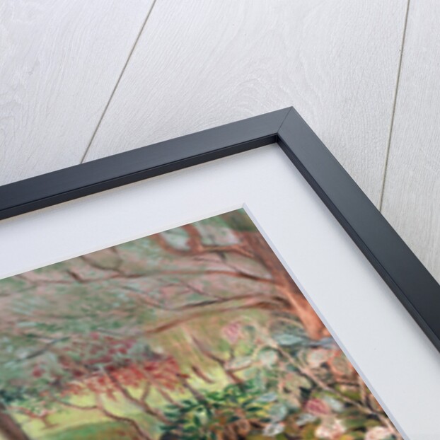 Macgregor Garden, 2003 by Mary Kuper