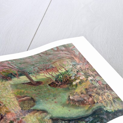 Macgregor Garden, 2003 by Mary Kuper