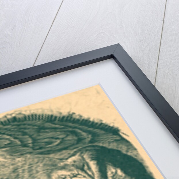 Siren, 1993 by Mary Kuper