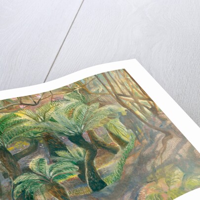 Tree ferns, Trewidden, 2012 by Mary Kuper