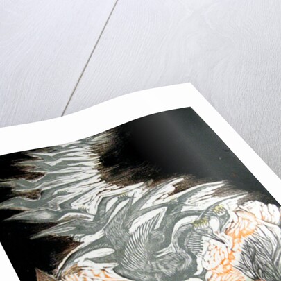 The Wild Swans, 1998 by Mary Kuper