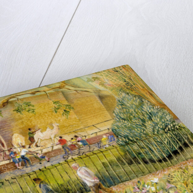 London Zoo, Camels, 2003 by Mary Kuper