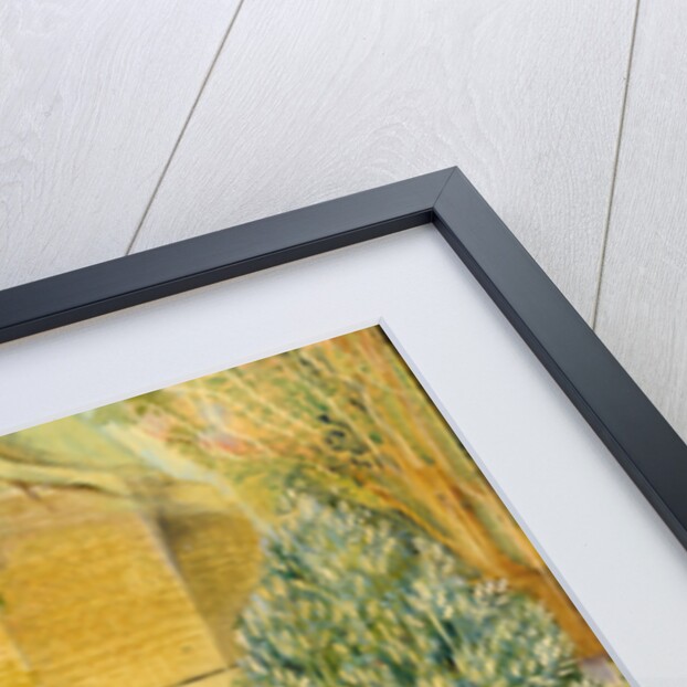 London Zoo, Camels, 2003 by Mary Kuper