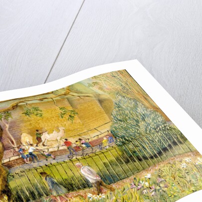 London Zoo, Camels, 2003 by Mary Kuper