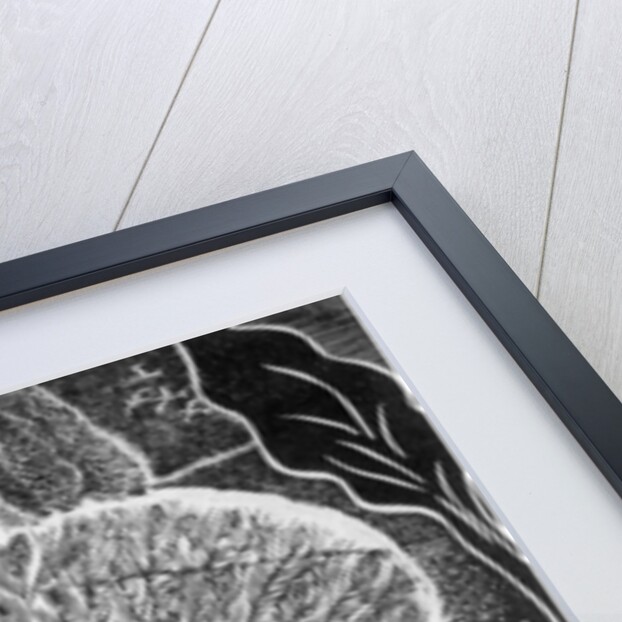 Signs of an approaching storm, 2004 by Mary Kuper