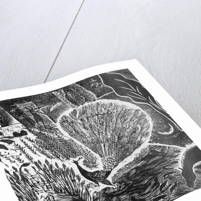 Signs of an approaching storm, 2004 by Mary Kuper