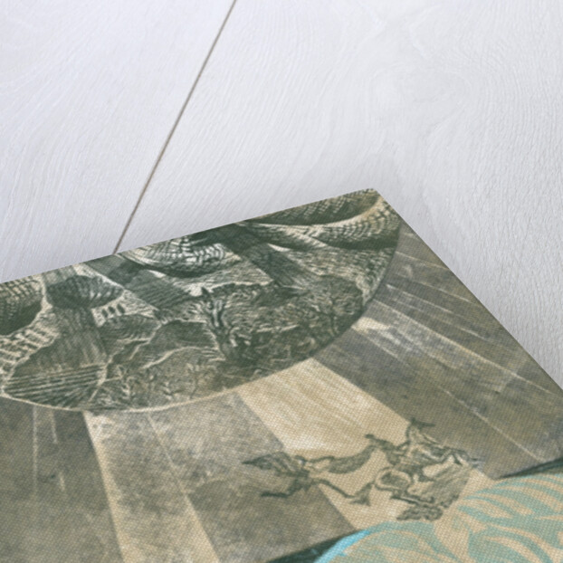 Talisman: Inside the body of the beast, 2015 by Mary Kuper