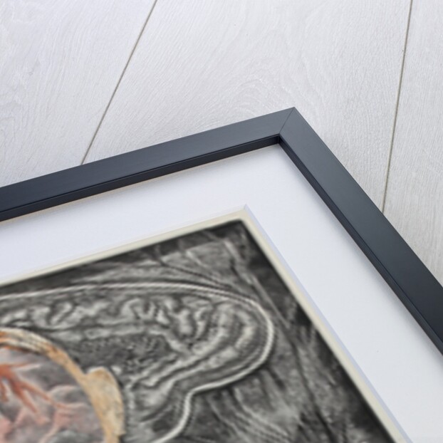 Big red flowers: Happiness, 2017 by Mary Kuper