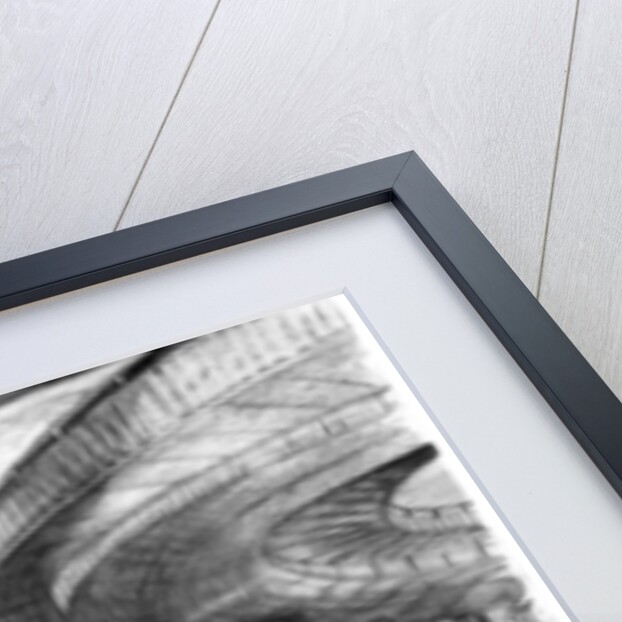 Horseriding under the Westway, 2009 by Mary Kuper