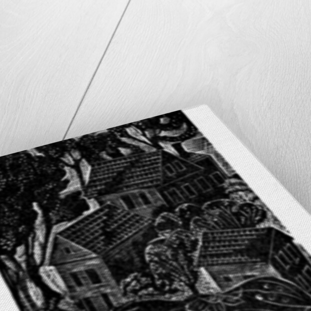 Home, 2006 by Mary Kuper