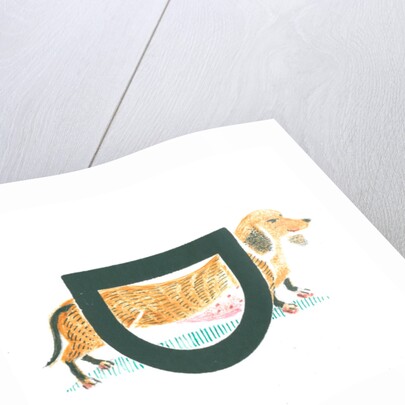 D is for dachshund, 2015 by Mary Kuper