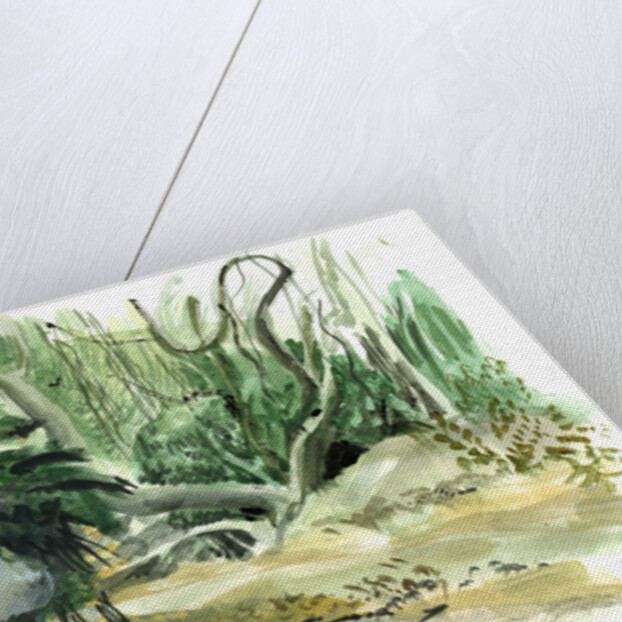 Jungle: Tyrona, Colombia, 2008 by Mary Kuper