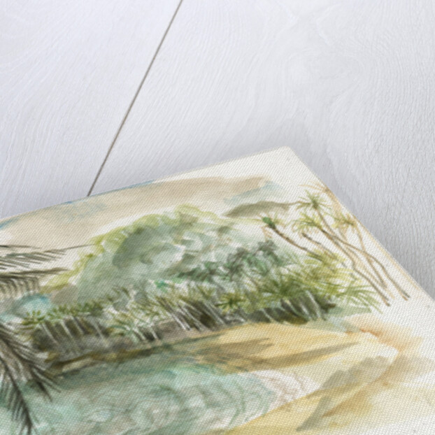 Beach, Tyrona, Colombia, 2008 by Mary Kuper