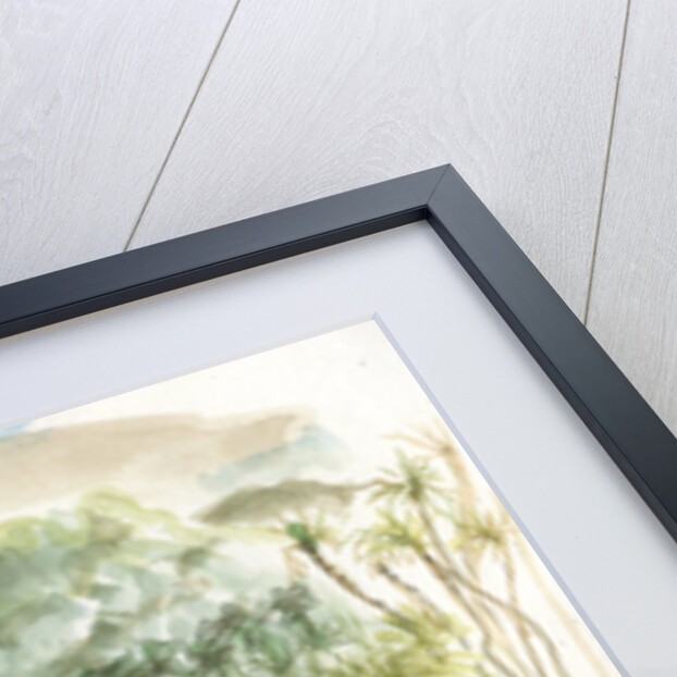 Beach, Tyrona, Colombia, 2008 by Mary Kuper