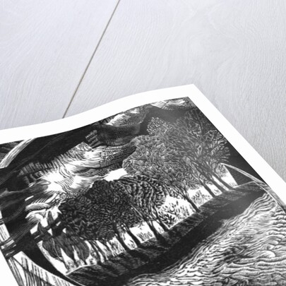 ...our peculiar sort of existence here... David Jones, 2018 by Mary Kuper