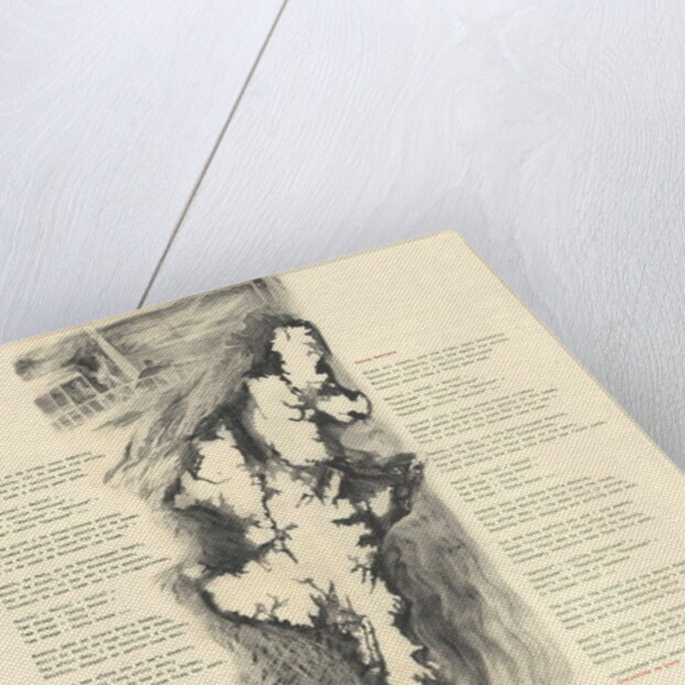 Shetlandic Poem, 2018 by Mary Kuper