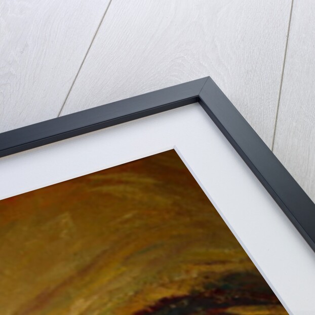 Mozart by Annick Gaillard