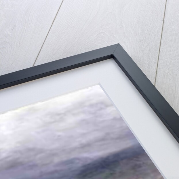 Ullswater by John Glover