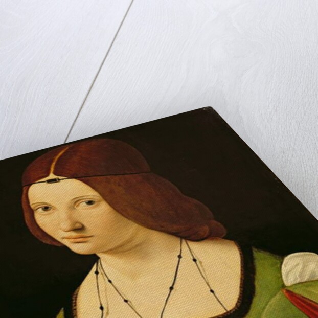 Portrait of a Lady by Giovanni Antonio Boltraffio