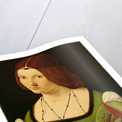 Portrait of a Lady by Giovanni Antonio Boltraffio