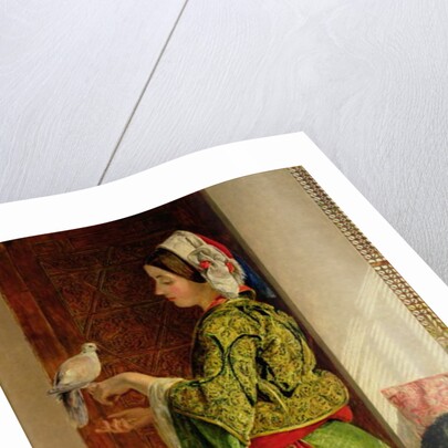 Caged Doves by John Frederick Lewis