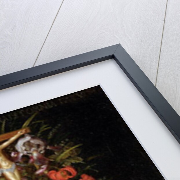 Vanitas Still Life by German School