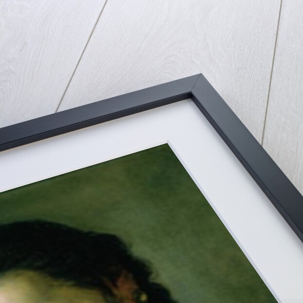 A Young Woman reading a Love Letter by Pietro Antonio Rotari