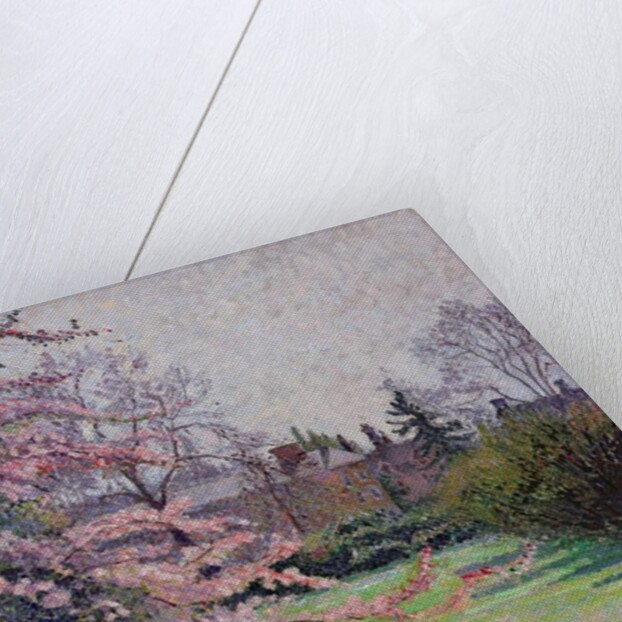 Japanese Crab Apple Blossom, Kew, 1921 by Lucien Pissarro