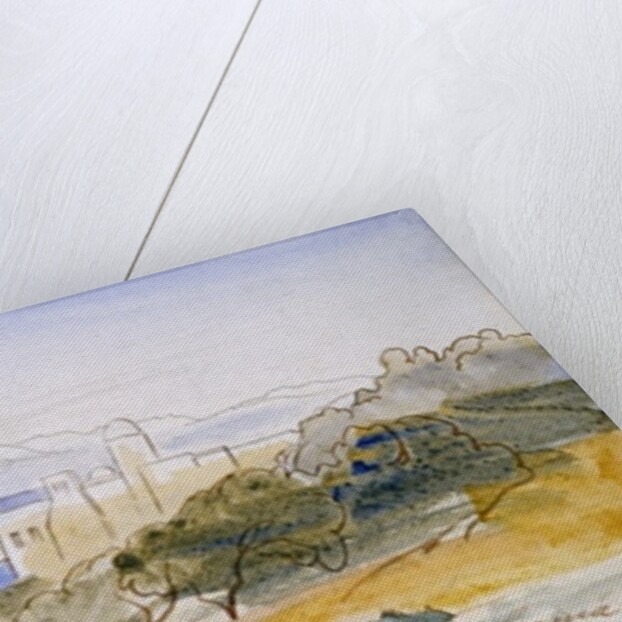 Gonia, 1864 by Edward Lear