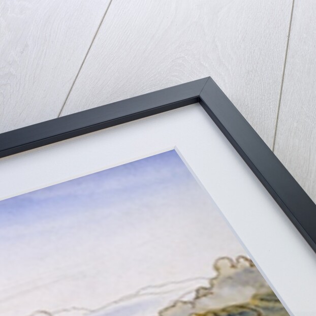 Gonia, 1864 by Edward Lear