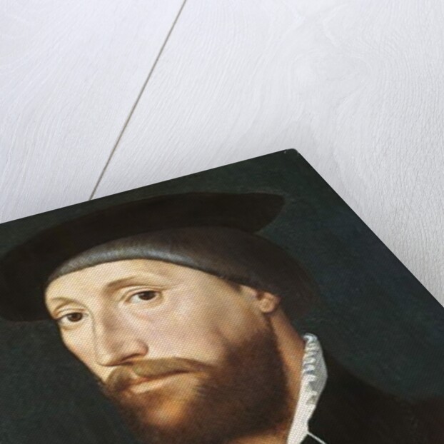 Sir Thomas Lestrange by Hans Holbein the Younger