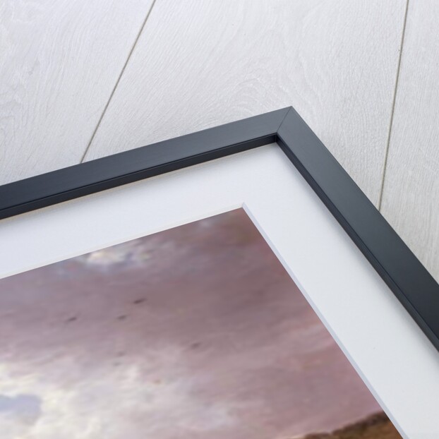 Whiteknights by Thomas Christopher Hofland