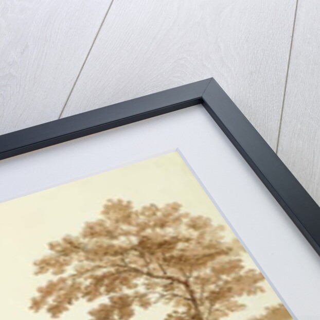 The Temple of Neptune and the Basilica at Paestum by Franz Kaisermaan