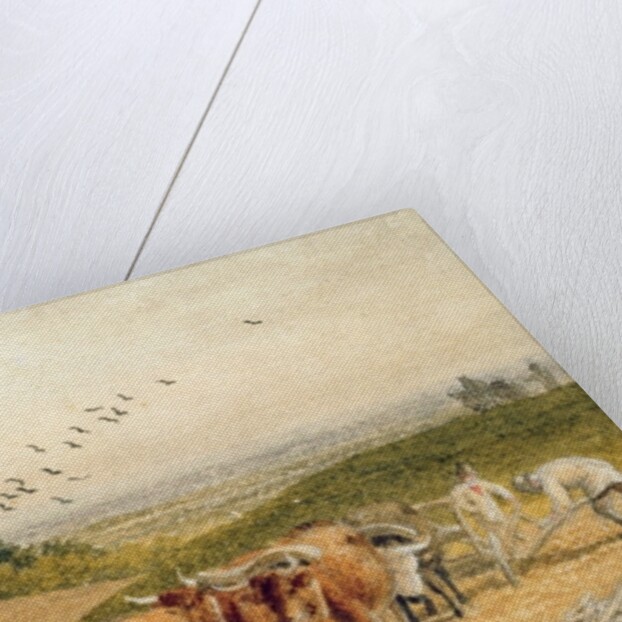 Oxen Ploughing a Downland Field by Robert Hills