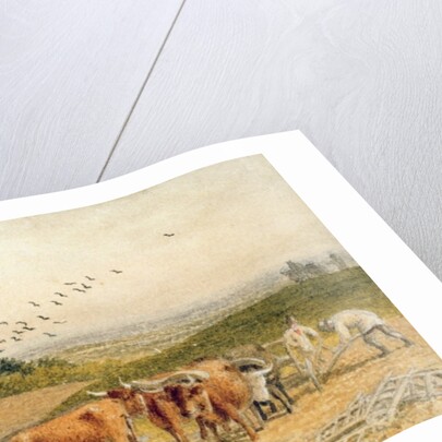 Oxen Ploughing a Downland Field by Robert Hills