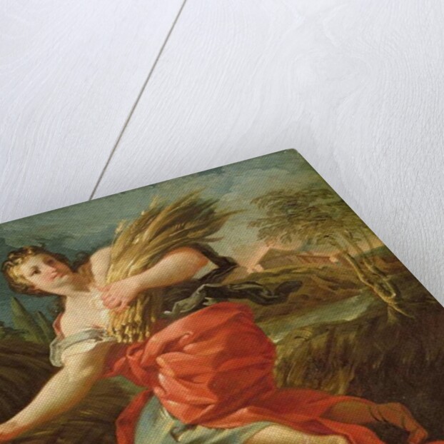 Ruth the Gleaner by Corrado Giaquinto