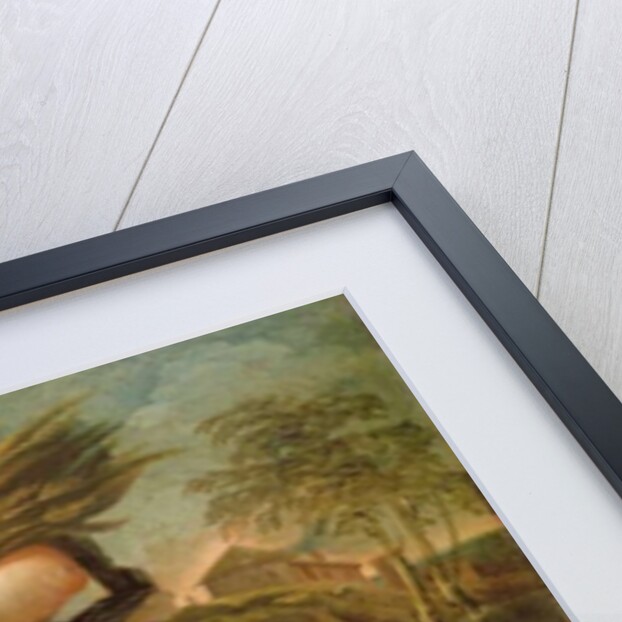 Ruth the Gleaner by Corrado Giaquinto