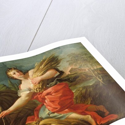 Ruth the Gleaner by Corrado Giaquinto