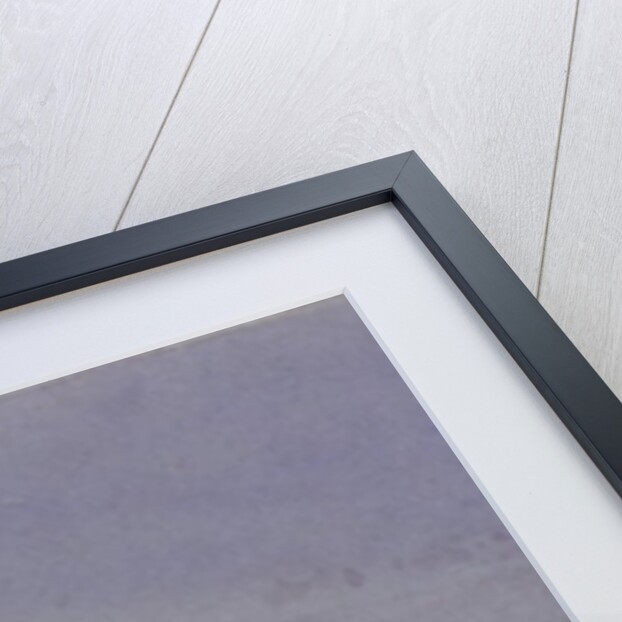 Lyon on the Saone and Rhone, 1836 by William Callow