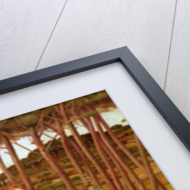 The Shulamite by John Roddam Spencer Stanhope