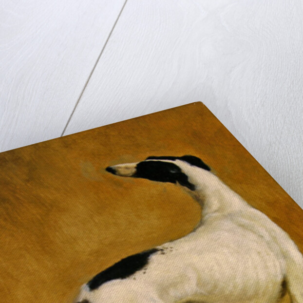 Study of a Greyhound by Jacques-Laurent Agasse