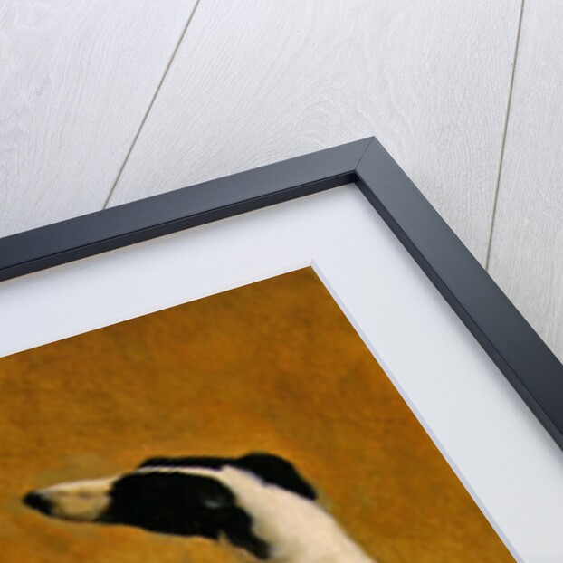 Study of a Greyhound by Jacques-Laurent Agasse