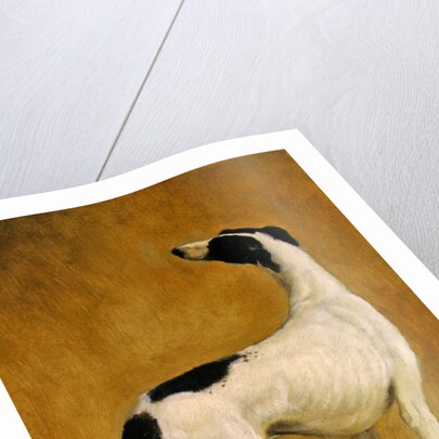 Study of a Greyhound by Jacques-Laurent Agasse